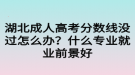 湖北成人高考分?jǐn)?shù)線沒過(guò)怎么辦？什么專業(yè)就業(yè)前景好