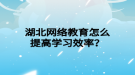 湖北網絡教育怎么提高學習效率？