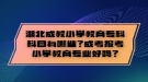 湖北成教小學(xué)教育?？瓶颇坑心男砍煽紙?bào)考小學(xué)教育專業(yè)好嗎？