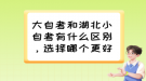 大自考和湖北小自考有什么區(qū)別，選擇哪個更好？