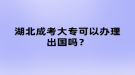 湖北成考大?？梢赞k理出國嗎？