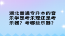 湖北普通專升本的音樂學(xué)是考樂理還是考樂器？考哪些樂器？