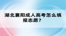 湖北襄陽成人高考怎么填報志愿？