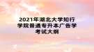 2021年湖北大學知行學院普通專升本廣告學考試大綱