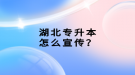 湖北專升本怎么宣傳？