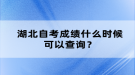 湖北自考成績(jī)什么時(shí)候可以查詢(xún)？