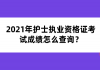 2021年護(hù)士執(zhí)業(yè)資格證考試成績(jī)?cè)趺床樵儯?>
                        </a>
                    </li>
                                        <li>
                        <a href=