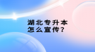 湖北專升本怎么宣傳？