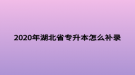 2020年湖北省專升本怎么補錄