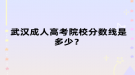 武漢成人高考院校分數線是多少？