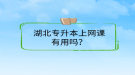 湖北專升本上網(wǎng)課有用嗎？