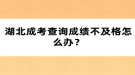 湖北成考查詢成績不及格怎么辦？