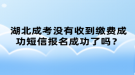 湖北成考沒有收到繳費成功短信報名成功了嗎？