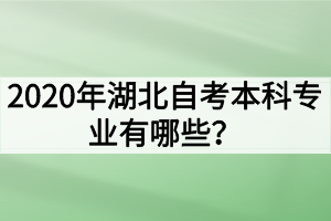 2020年湖北自考本科專業(yè)有哪些？哪些專業(yè)的就業(yè)前景好