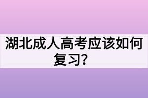 湖北成人高考應(yīng)該如何復(fù)習(xí)？