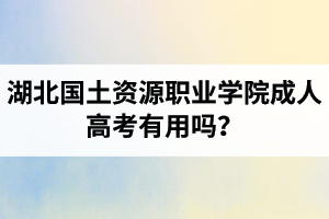 湖北國(guó)土資源職業(yè)學(xué)院成人高考有用嗎？學(xué)習(xí)采取的是什么方式？