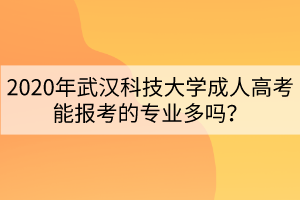 2020年武漢科技大學(xué)成人高考能報(bào)考的專業(yè)多嗎？