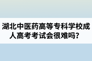 湖北中醫(yī)藥高等?？茖W校成人高考考試會很難嗎？壓力會不會很大？