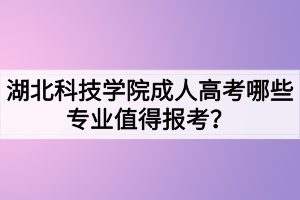 湖北科技學(xué)院成人高考哪些專業(yè)值得報(bào)考？