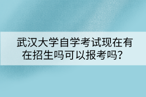 武漢大學自學考試現(xiàn)在有在招生嗎可以報考嗎？