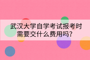 武漢大學自學考試報考時需要交什么費用嗎？