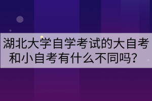 湖北大學自學考試的大自考和小自考有什么不同嗎？