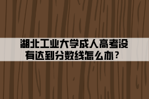 湖北工業(yè)大學(xué)成人高考沒有達到分?jǐn)?shù)線怎么辦？