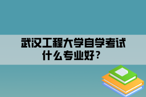 武漢工程大學(xué)自學(xué)考試什么專業(yè)好？