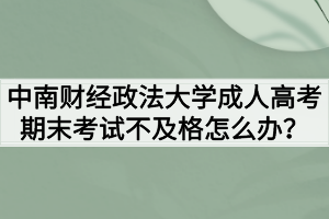 中南財經政法大學成人高考期末考試不及格怎么辦？