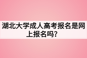 湖北大學(xué)成人高考報名是網(wǎng)上報名嗎？