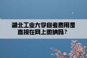 湖北工業(yè)大學自考費用是直接在網(wǎng)上繳納嗎？