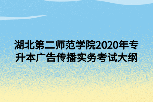 湖北第二師范學(xué)院2020年專升本廣告?zhèn)鞑?shí)務(wù)考試大綱