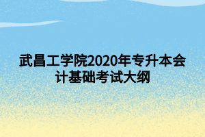 武昌工學(xué)院2020年專升本會計基礎(chǔ)考試大綱