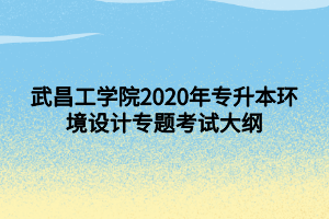 武昌工學院2020年專升本環(huán)境設計專題考試大綱