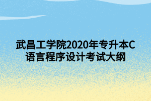 武昌工學(xué)院2020年專(zhuān)升本C語(yǔ)言程序設(shè)計(jì)考試大綱