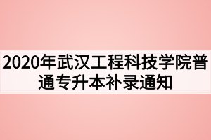 2020年武漢工程科技學(xué)院普通專(zhuān)升本補(bǔ)錄通知