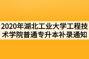 2020年湖北工業(yè)大學工程技術(shù)學院普通專升本補錄通知