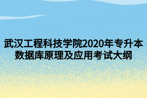 武漢工程科技學(xué)院2020年專升本數(shù)據(jù)庫原理及應(yīng)用考試大綱