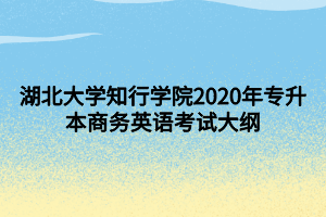 湖北大學知行學院2020年專升本商務英語考試大綱