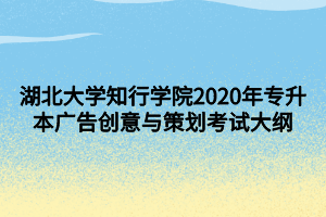 湖北大學(xué)知行學(xué)院2020年專(zhuān)升本廣告創(chuàng)意與策劃考試大綱