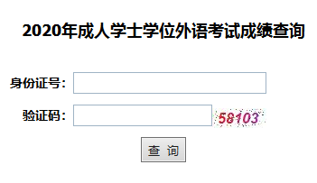 2020年湖北成人高考學(xué)位英語成績查詢?nèi)肟谝验_通