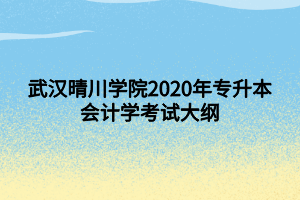 武漢晴川學(xué)院2020年專(zhuān)升本會(huì)計(jì)學(xué)考試大綱