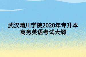 武漢晴川學(xué)院2020年專(zhuān)升本商務(wù)英語(yǔ)考試大綱