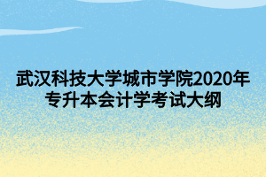 武漢科技大學城市學院2020年專升本會計學考試大綱