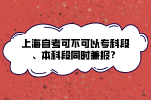 上海自考可不可以?？贫?、本科段同時(shí)兼報(bào)？