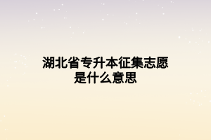 湖北省專升本征集志愿是什么意思