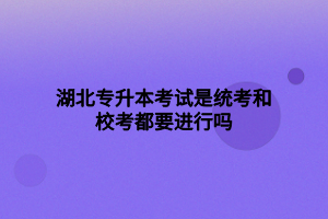 湖北專升本考試是統(tǒng)考和?？级家M行嗎