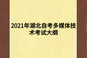 2021年湖北自考多媒體技術考試大綱