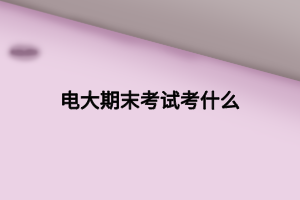 電大期末考試考什么
