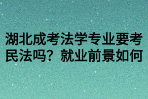 湖北成考法學專業(yè)要考民法嗎？就業(yè)前景如何